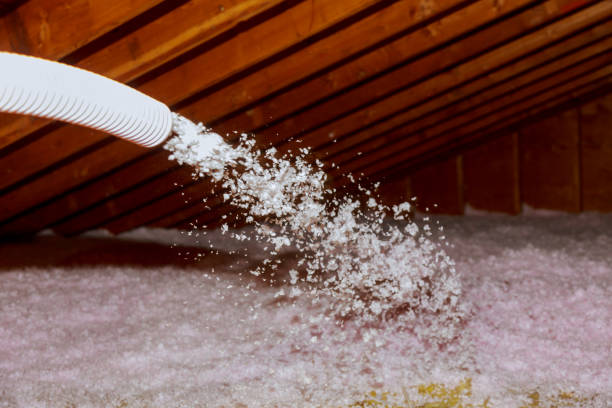 Best Insulation Replacement Services  in Daniel, UT