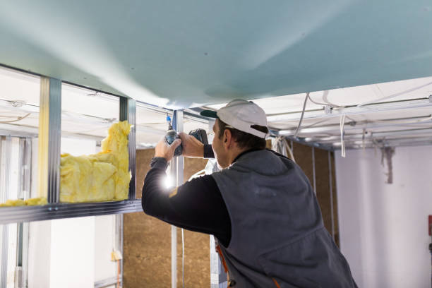 Best Cellulose Insulation  in Daniel, UT