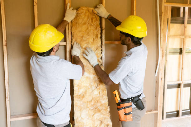 Best Energy-efficient Insulation  in Daniel, UT