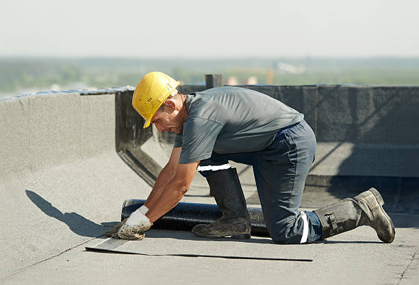 Best Best Insulation Companies  in Daniel, UT