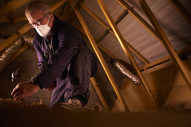 Best Affordable Insulation Services  in Daniel, UT