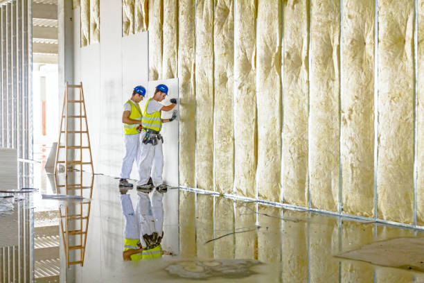 Best Insulation Inspection Services  in Daniel, UT